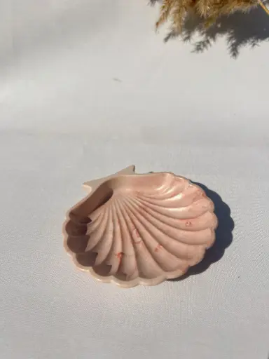 [D01] Coupelle coquillage